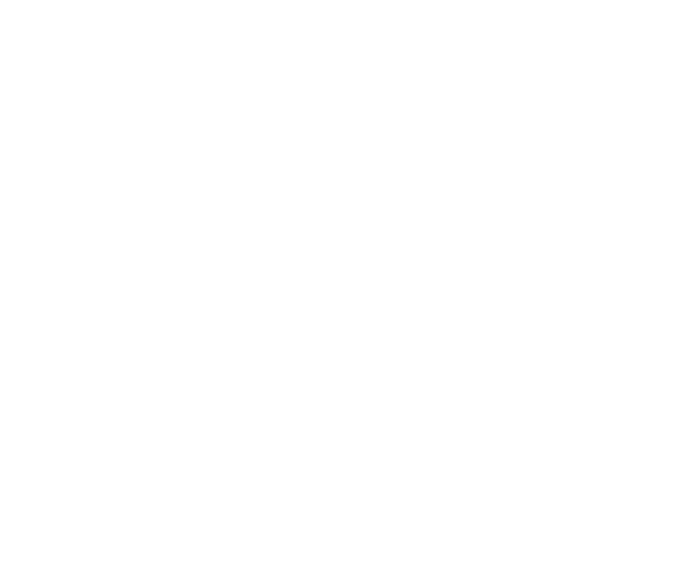 Phio Partners